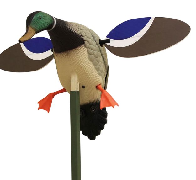 Picture of Mojo Outdoors Baby Mojo Drake Mallard Species Multi Color Synthetic 