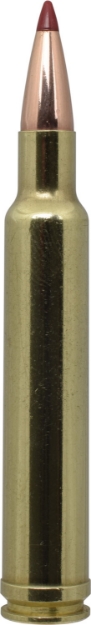 Picture of Hornady Precision Hunter 300 Wthby Mag 200 Gr Extremely Low Drag-Expanding (Eld-X) 20 Per Box/ 10 Cs 