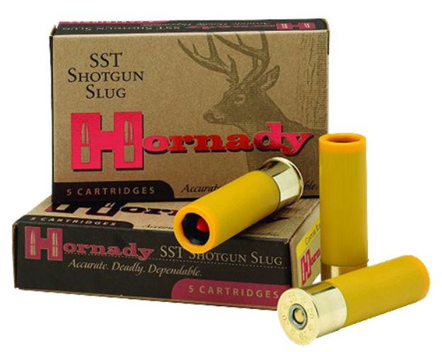 Picture of Hornady Sst Hunting 20 Gauge 2.75" Ftx Slug Shot 5 Per Box/ 20 Cs 