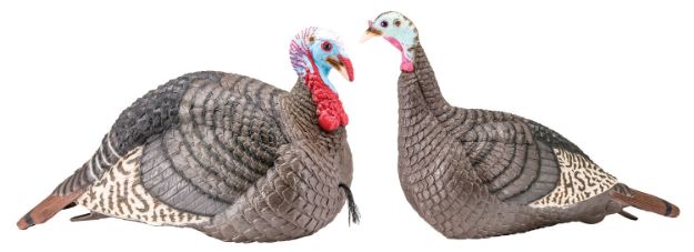 Picture of Hs Strut Strut-Lite Jake & Hen Combo Wild Turkey Species Multi Color Synthetic 