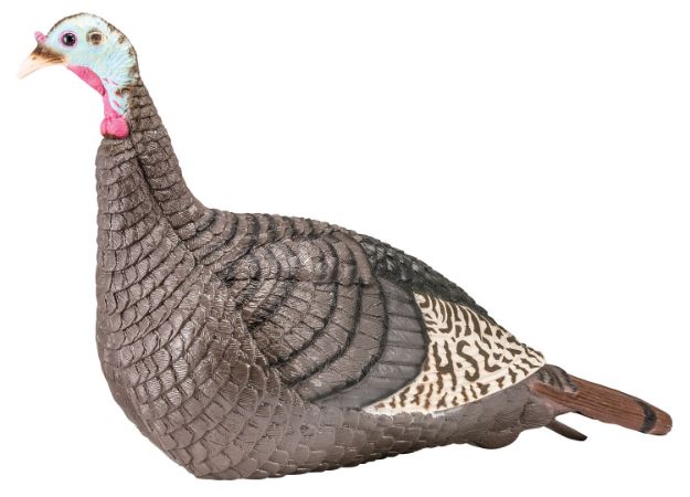 Picture of Hs Strut Strut-Lite Hen Wild Turkey Species Multi Color Synthetic 