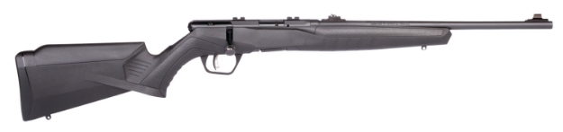 Picture of Savage Arms B22 F Compact 22 Lr Caliber With 10+1 Capacity, 18" Barrel, Matte Blued Metal Finish & Matte Black Synthetic Stock Right Hand 