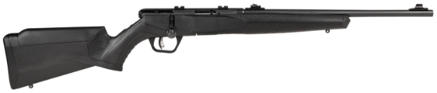 Picture of Savage Arms B22 Magnum F Compact Bolt Action 22 Wmr Caliber With 10+1 Capacity, 18" Barrel, Matte Blued Metal Finish & Matte Black Synthetic Stock Right Hand 