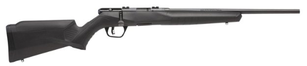 Picture of Savage Arms B17 Compact Bolt Action 17 Hmr Caliber With 10+1 Capacity, 18" Barrel, Matte Blued Metal Finish & Matte Black Synthetic Stock Right Hand 