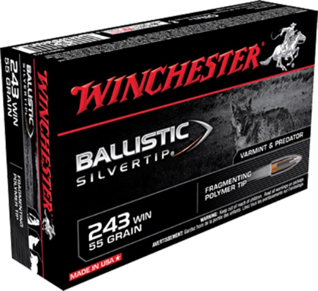 Picture of Winchester Ammo Ballistic Silvertip 243 Win 55 Gr Fragmenting Polymer Tip 20 Per Box/ 10 Cs 