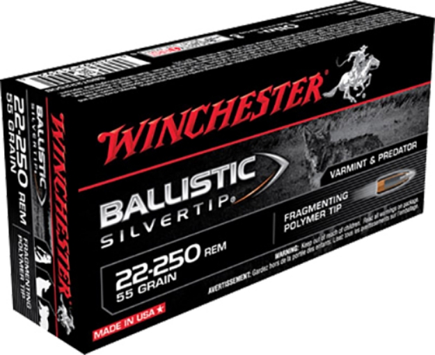 Picture of Winchester Ammo Ballistic Silvertip 22-250 Rem 55 Gr Fragmenting Polymer Tip 20 Per Box/ 10 Cs 