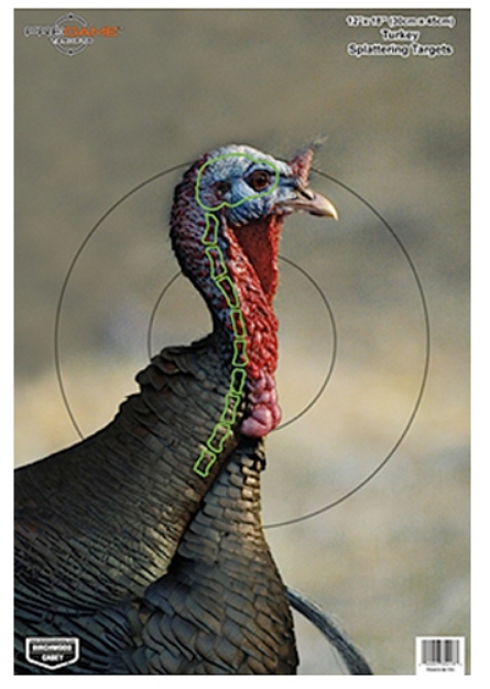 Picture of Birchwood Casey Pregame Turkey Paper Hanging Universal 12" X 18" Multi-Color 8 Per Pkg 