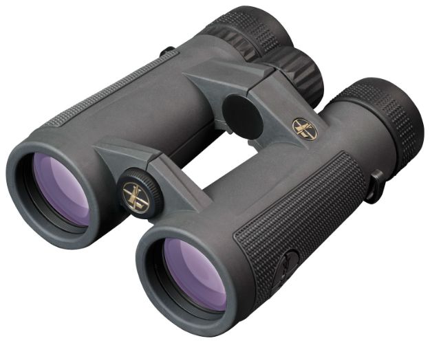 Picture of Leupold Bx-5 Santiam Hd 10X 42Mm Roof Prism Shadow Gray Armor Coated 