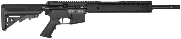 Picture of Black Rain Spec15 300 Blackout 16" 30+1 Black Hard Coat Anodized Enhanced G.I. Sopmod Stock 