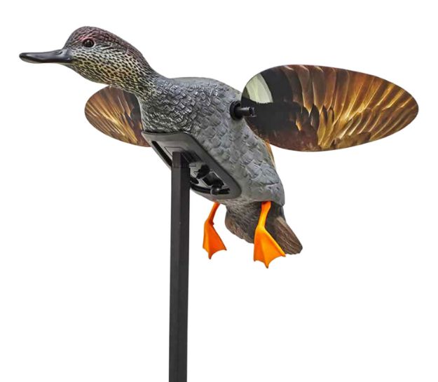 Picture of Mojo Outdoors Elite Series Gadwall Duck Species Multi Color Plastic 