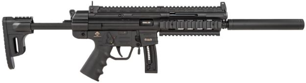 Picture of Gsg Gsg-16 *Ca Compliant 22 Lr 10+1 16.25" Black Black Black Collapsible With Storage Compartment Stock Right Hand 