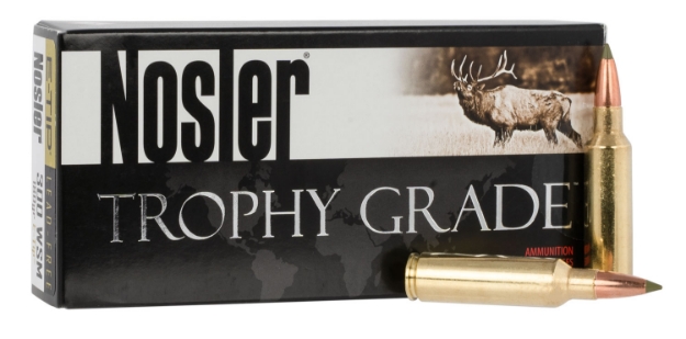 Picture of Nosler E-Tip Hunting 300 Wsm 180 Gr E-Tip Lead-Free 20 Per Box/ 10 Cs 