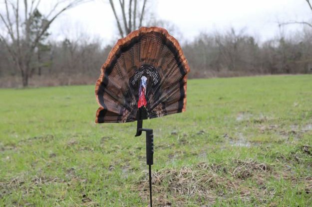 Picture of Mojo Outdoors Fatal Fan Turkey Species Multi Color Synthetic 