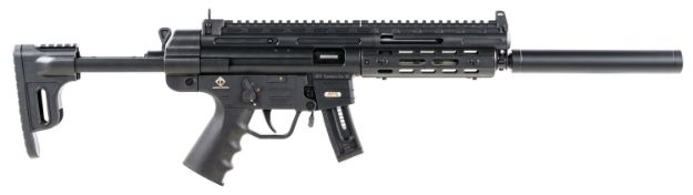 Picture of Gsg Gsg-16 22 Lr 10+1 16.25" Black Black Black Collapsible With Storage Compartment Stock Right Hand 