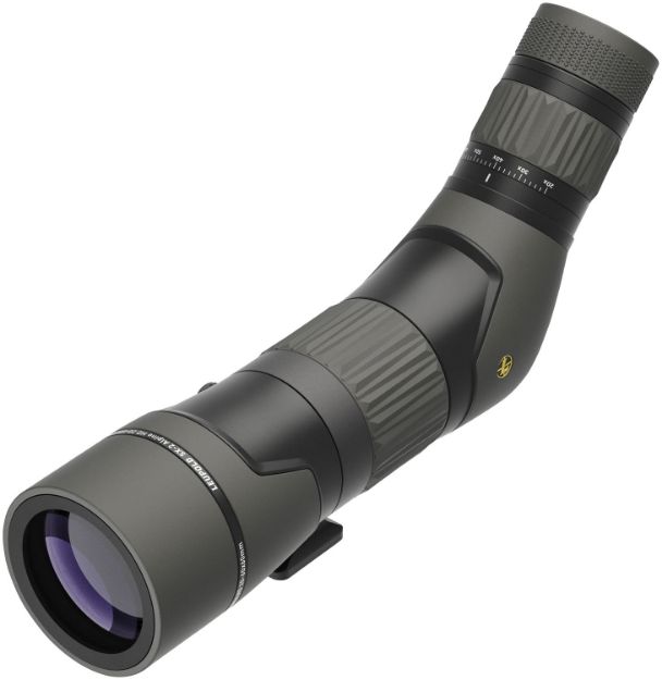 Picture of Leupold Sx-2 Alpine Hd 20-60X60mm Shadow Gray Angled Body 