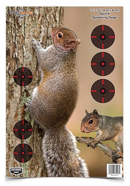 Picture of Birchwood Casey Pregame Squirrel Paper Hanging Rifle 12" X 18" Impact Enhancement Yes 8 Per Pkg 