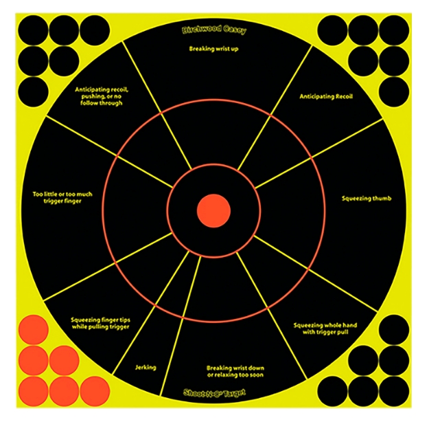 Picture of Birchwood Casey Shoot-N-C Handgun Trainer Bullseye Adhesive Paper Target 12" 100 Per Pkg 