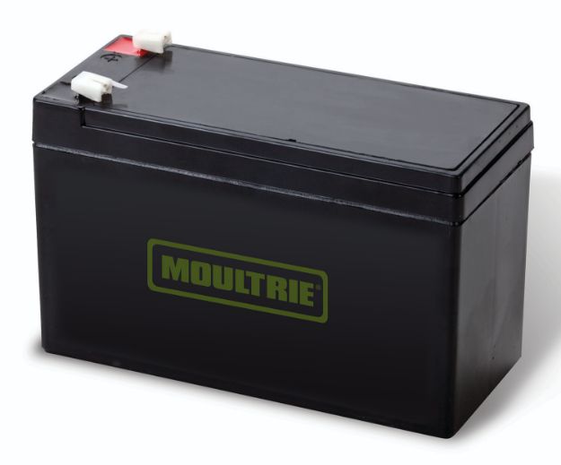 Picture of Moultrie Rechargeable Battery 12V Compatible W/Moultrie Feeders 