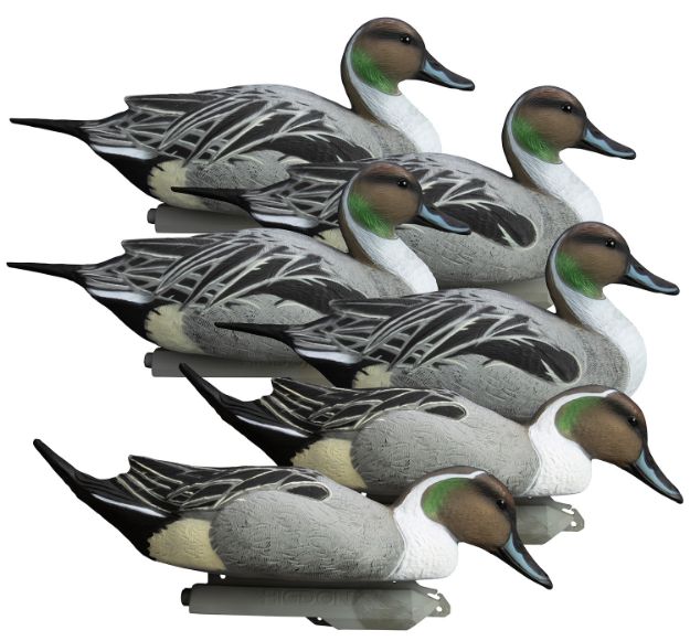 Picture of Higdon Outdoors Battleship Pintail Pintail Species Multi Color Foam Filled 6 Pack 