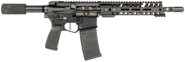 Picture of Pof Ren+ Pstl Di Mft 10 9M Rail 300 Blk 