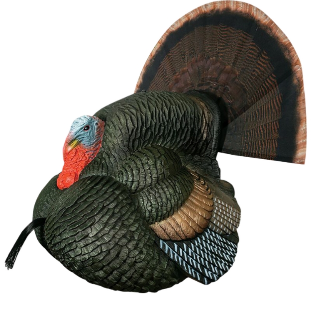 Picture of Primos Lil' Gobblestopper Strutter Box Call Turkey Sounds 