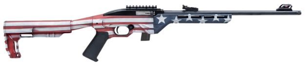 Picture of Citadel Trakr 22 Lr 10+1 18" Blued Blued American Flag Right Hand 