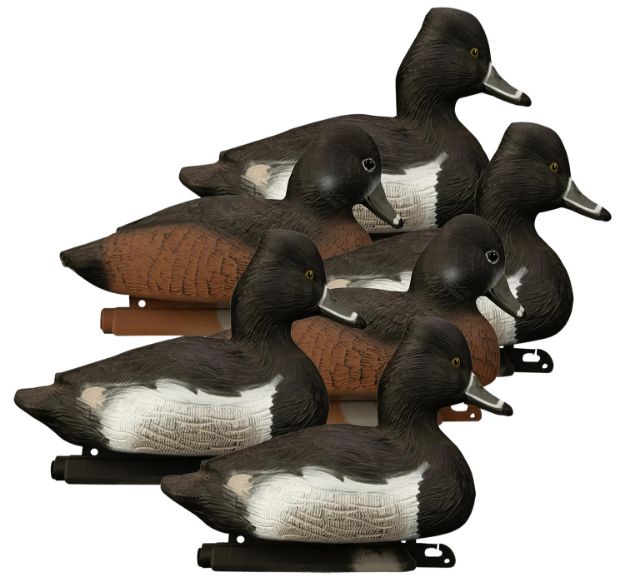 Picture of Higdon Outdoors 19483 Standard Ringneck Species Multi Color Foam Filled 6 Pack 